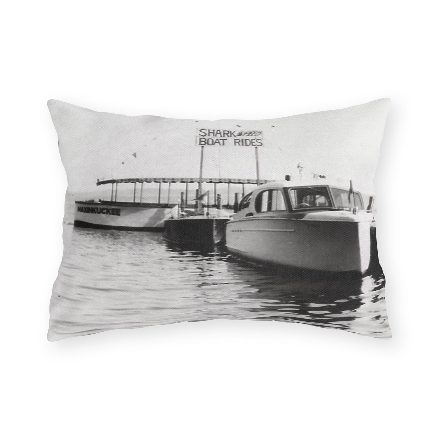 Shark Boat Rides Outdoor Pillow