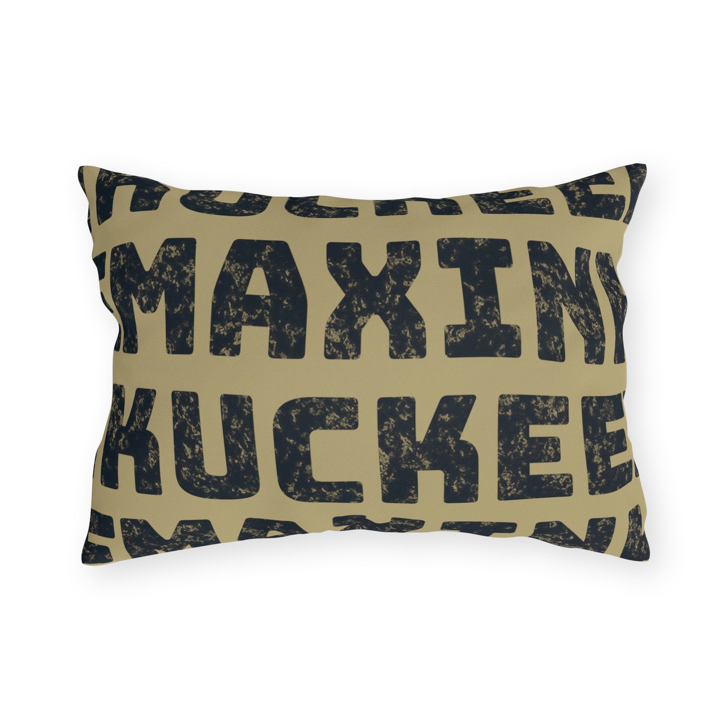 Lake Maxinkuckee Rainbow Outdoor Pillow